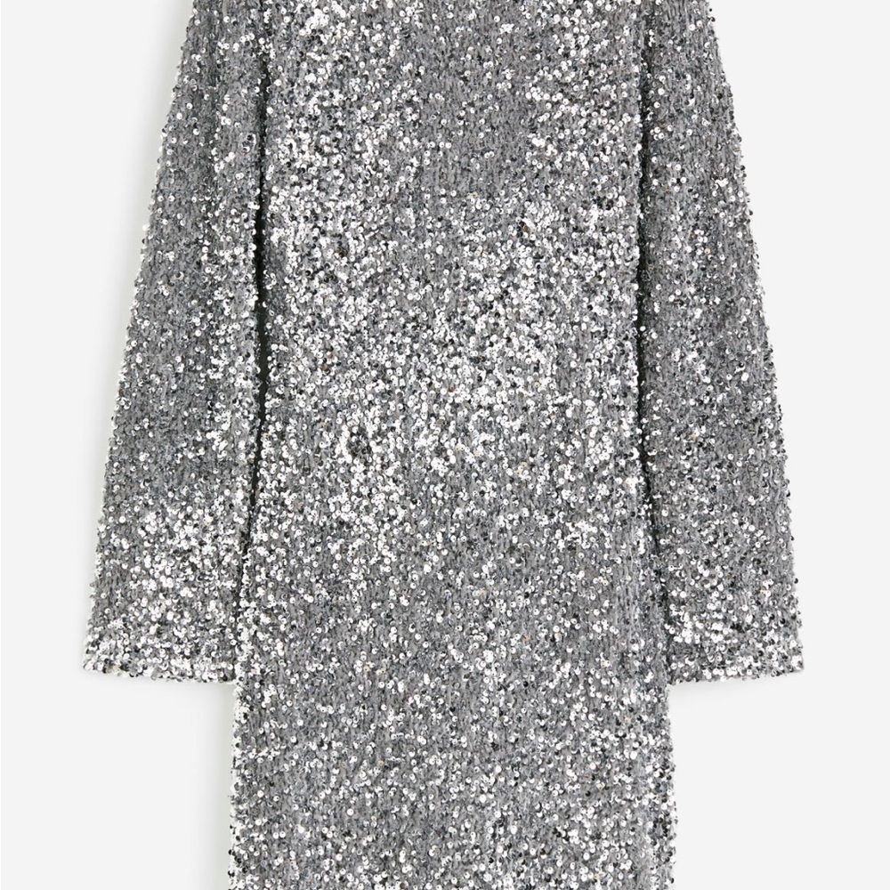 Silver Sequin Dress